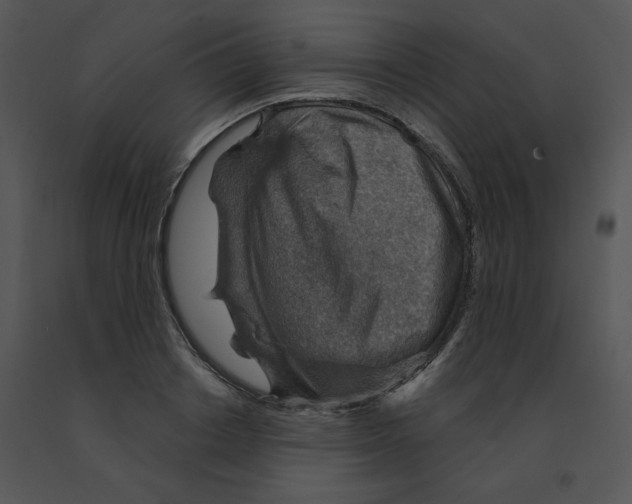 X0000091370842200708311524