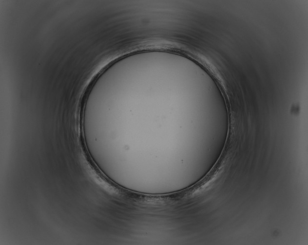 X0000091370843200708311524