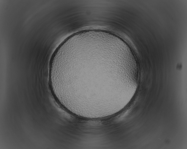 X0000091370844200708311524