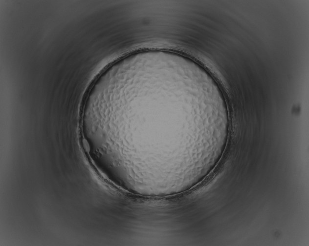 X0000091370845200708311524