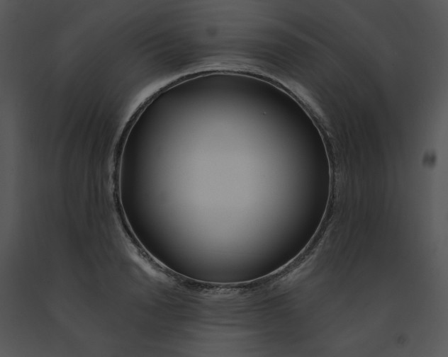 X0000091370846200708311524