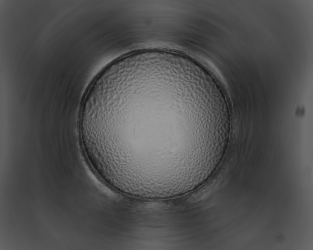 X0000091370847200708311524