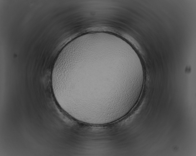 X0000091370849200708311524