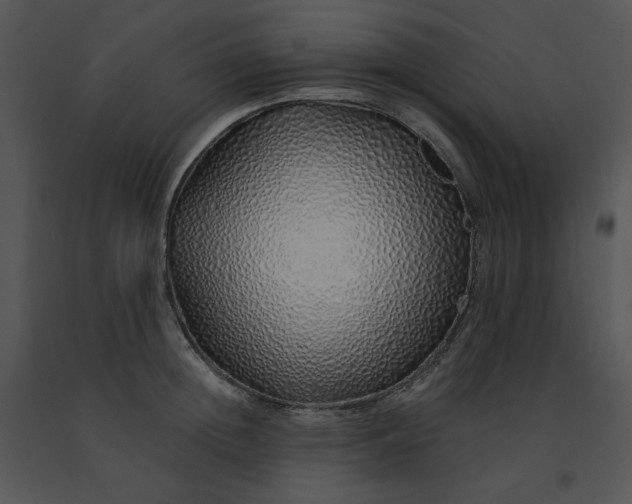 X0000091370852200708311524