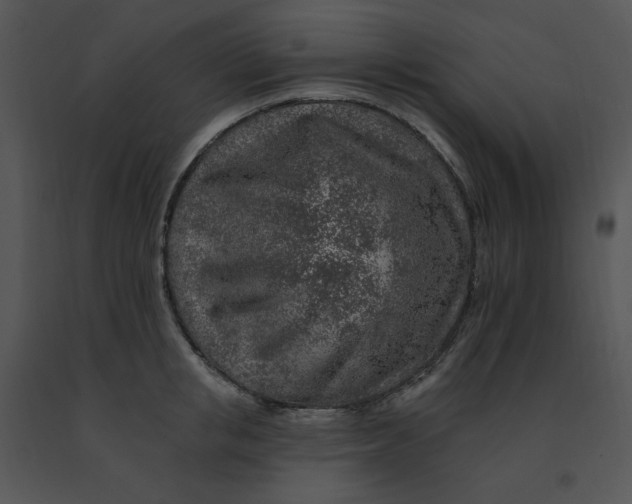 X0000091370853200708311524