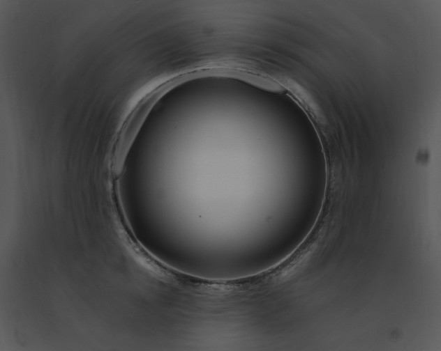 X0000091370854200708311524