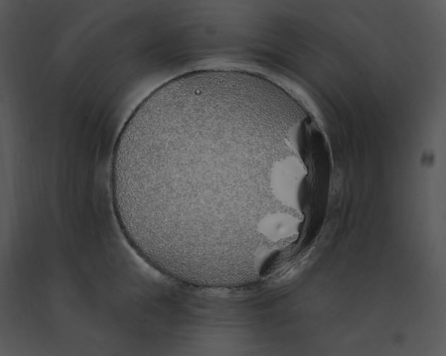 X0000091370855200708311524