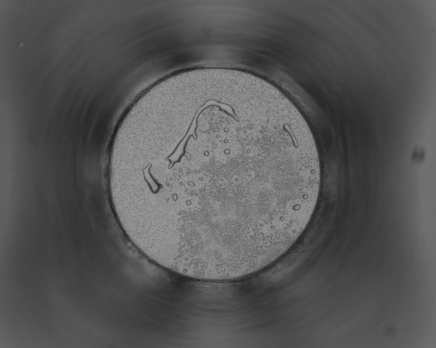 X0000091370856200708311524