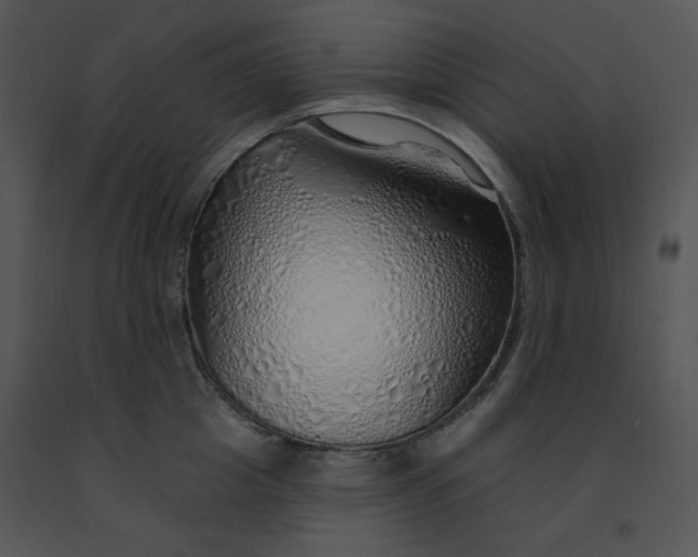 X0000091370857200708311524