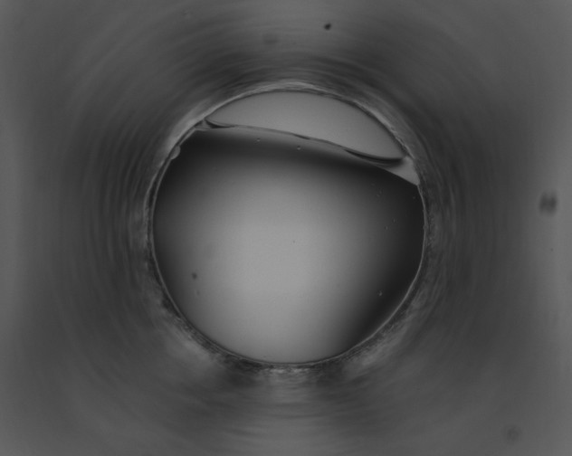 X0000091370858200708311524