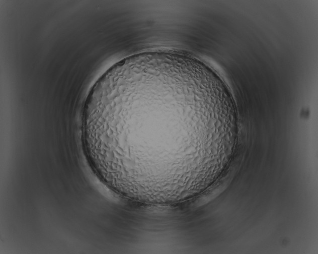 X0000091370859200708311524