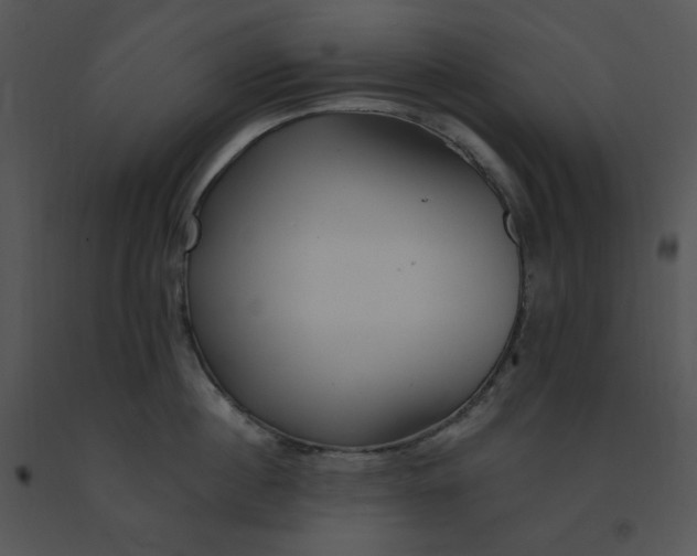 X0000091370860200708311524