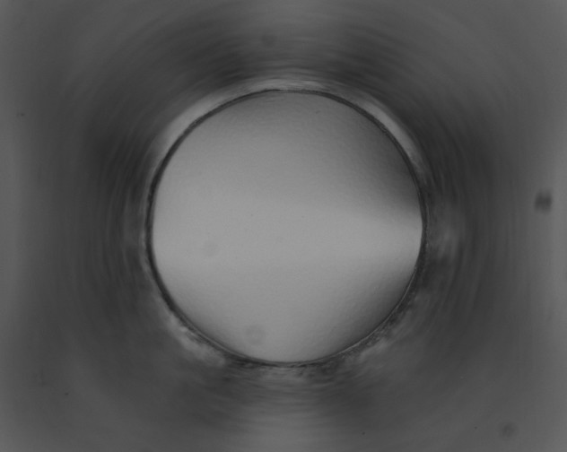 X0000091370861200708311524