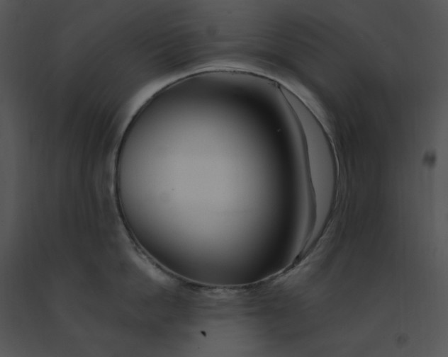 X0000091370862200708311524