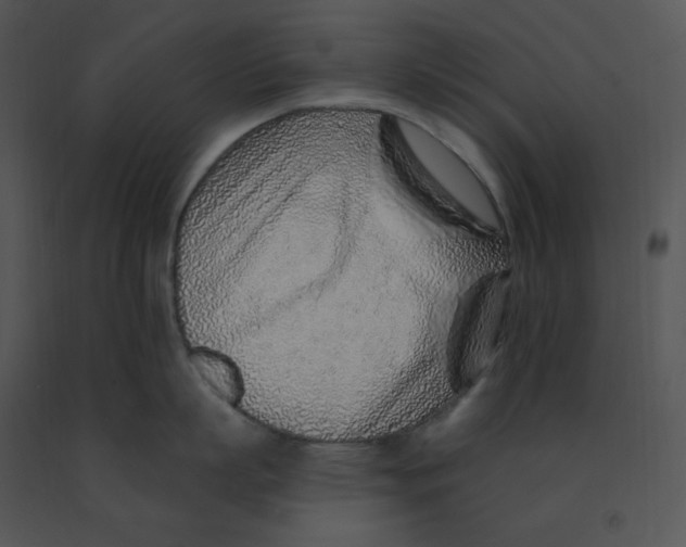 X0000091370863200708311524