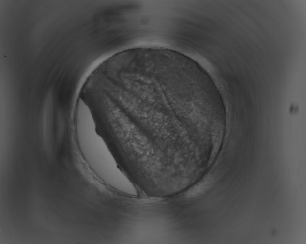 X0000091370864200708311524