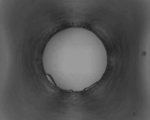 X0000091370865200708311523