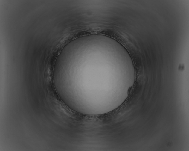 X0000091370866200708311523