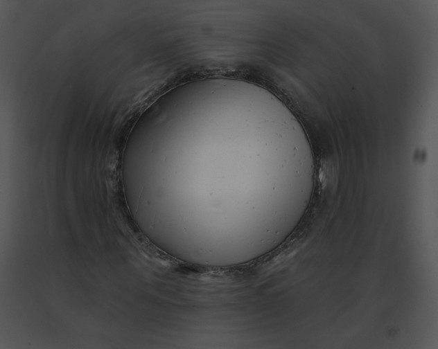 X0000091370867200708311523