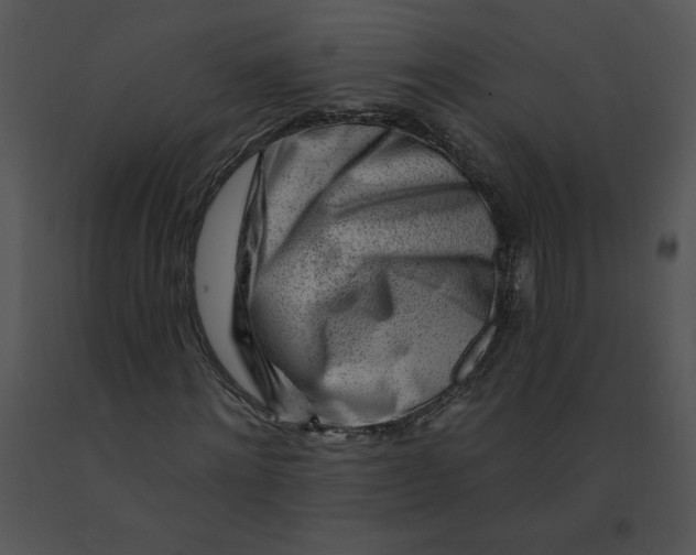 X0000091370868200708311523