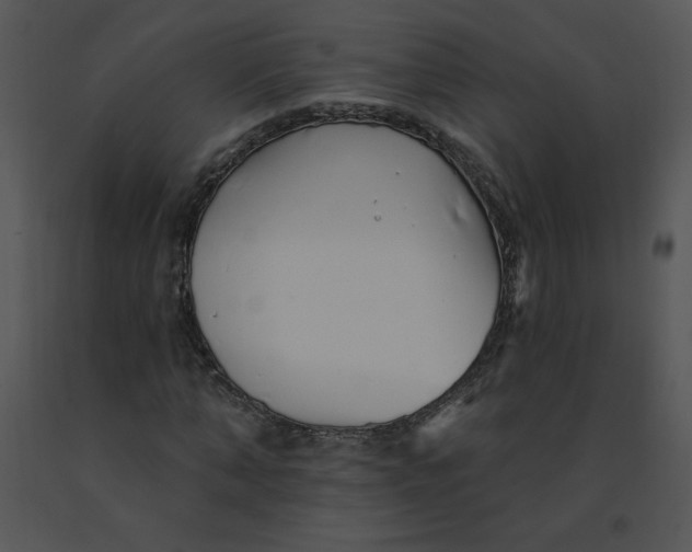 X0000091370870200708311523