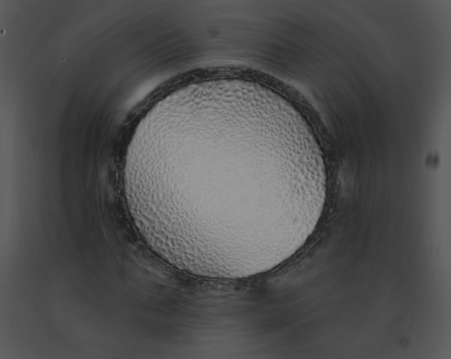 X0000091370871200708311523