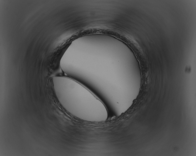 X0000091370872200708311523