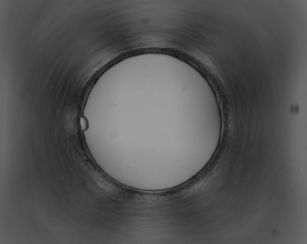 X0000091370873200708311523