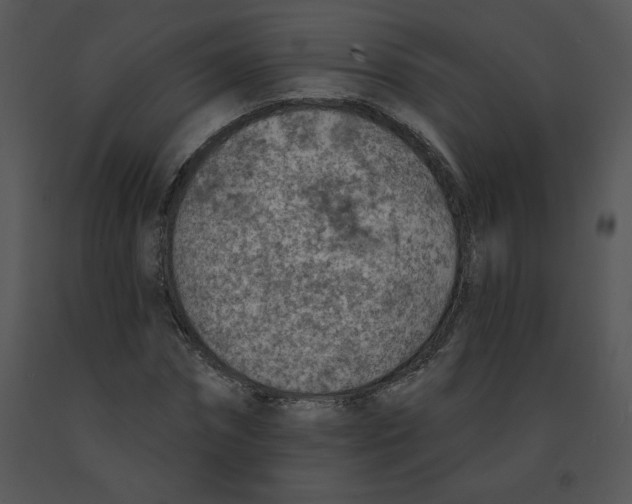 X0000091370874200708311523