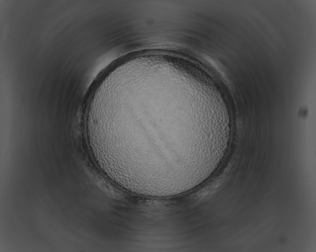 X0000091370875200708311523