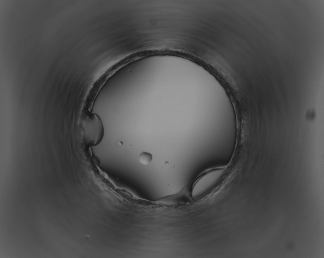 X0000091370876200708311523