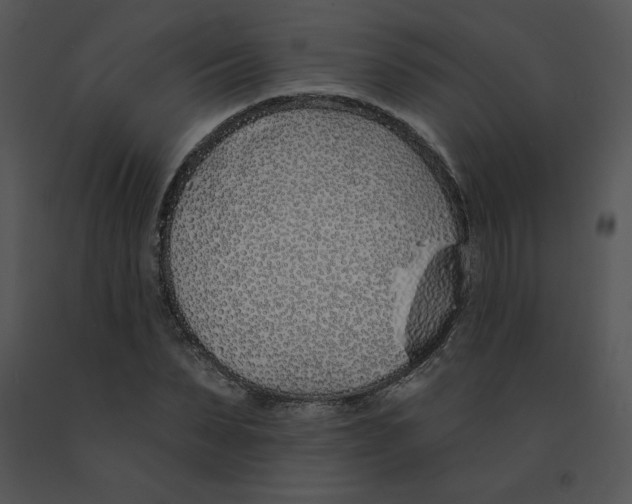 X0000091370879200708311523