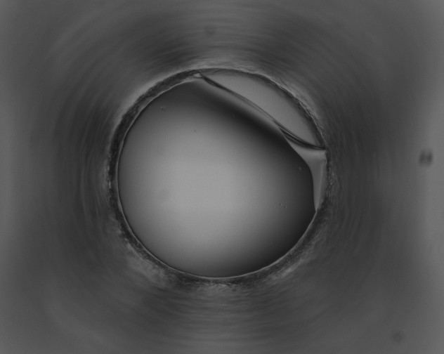 X0000091370880200708311523