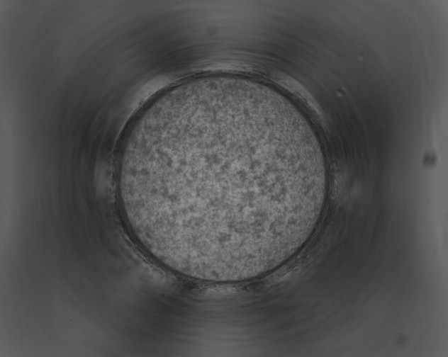 X0000091370882200708311523