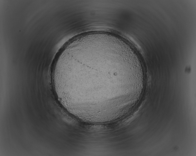 X0000091370883200708311523