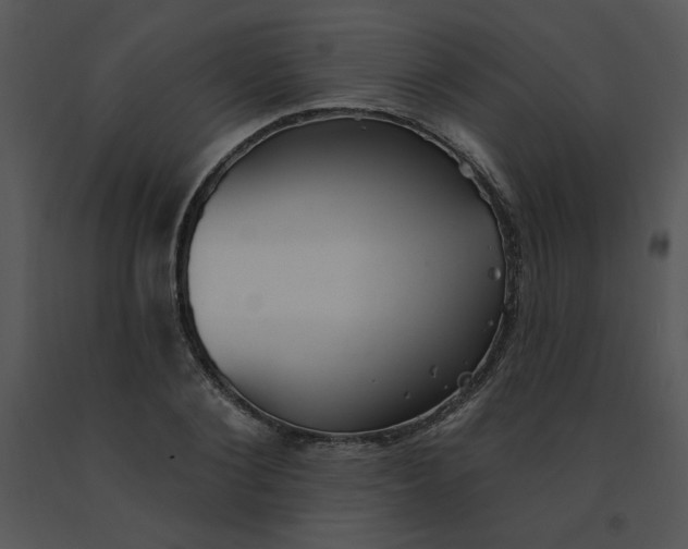 X0000091370884200708311523