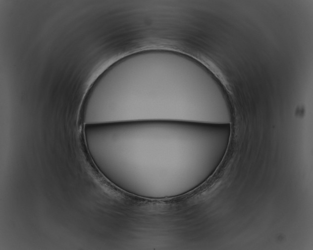 X0000091370885200708311523