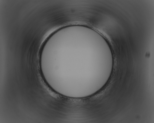 X0000091370886200708311523