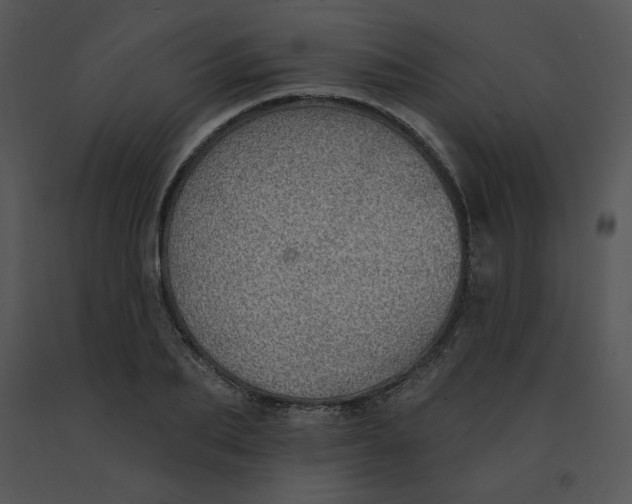 X0000091370887200708311523