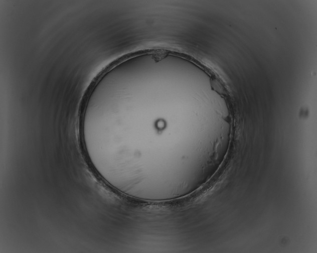 X0000091370888200708311523