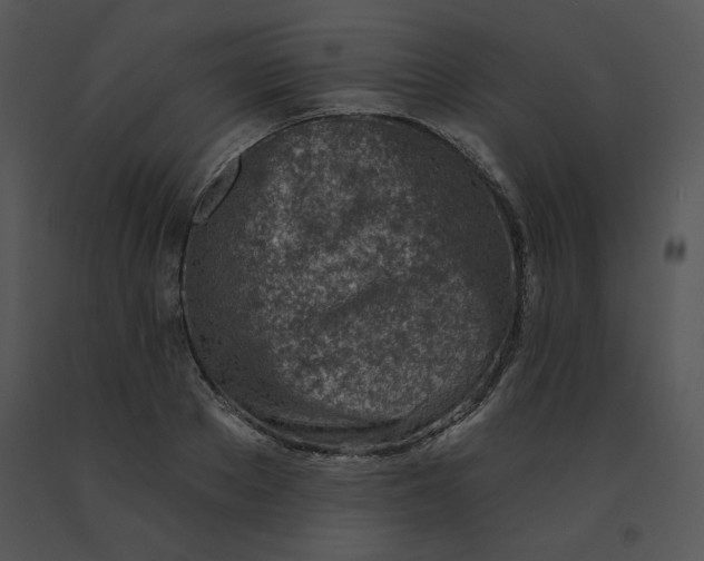 X0000091370889200708311523