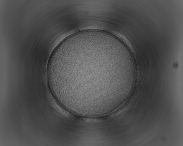 X0000091370890200708311523