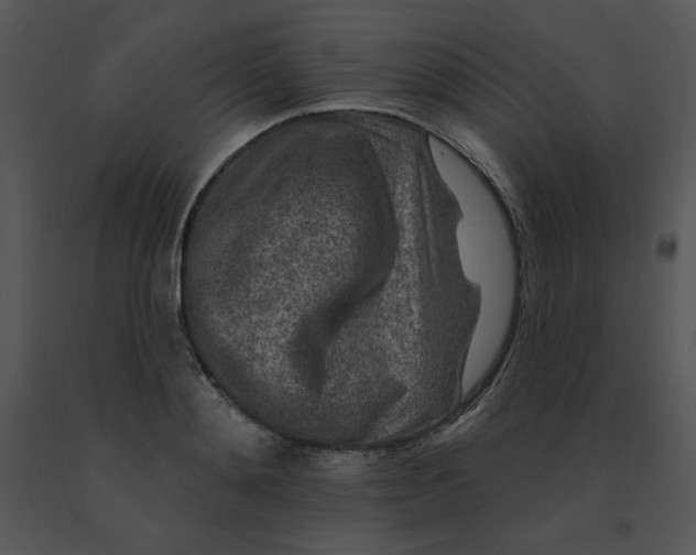 X0000091370892200708311523