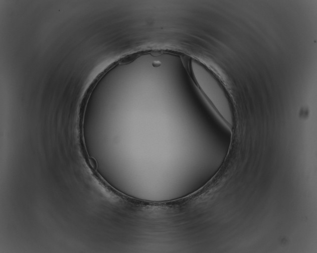 X0000091370894200708311523