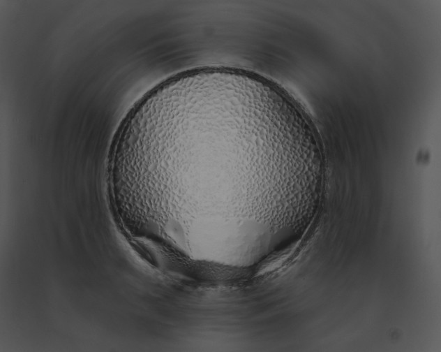 X0000091370895200708311523