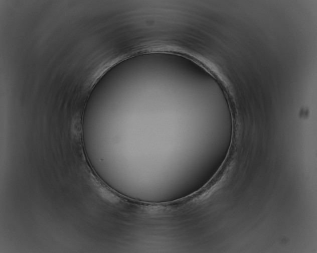 X0000091370897200708311523