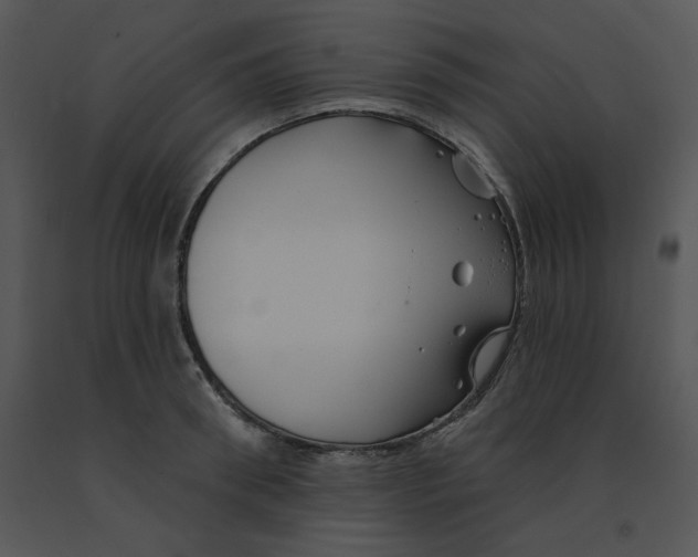 X0000091370898200708311523