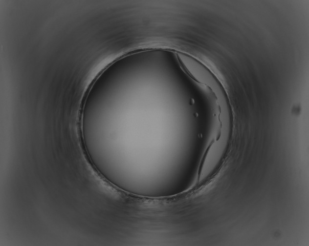 X0000091370901200708311523