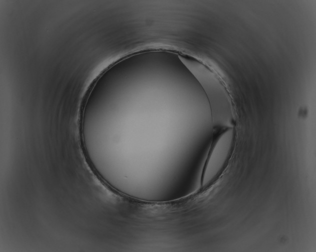 X0000091370902200708311523