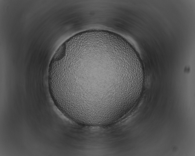 X0000091370903200708311523